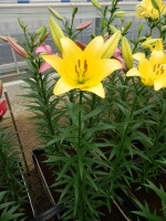 [5055 Palm s Place No02.JPG]